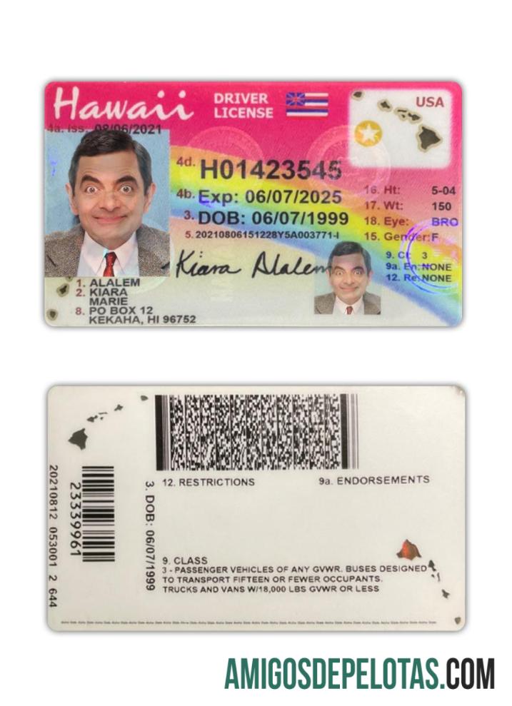 Carteira de habilitação dos EUA no Havaí 2021 presente exemplo